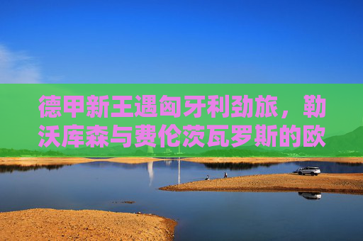 德甲新王遇匈牙利劲旅,勒沃库森与费伦茨瓦罗斯的欧战初遇,德甲新王勒沃库森欧战初遇匈牙利劲旅费伦茨瓦罗斯