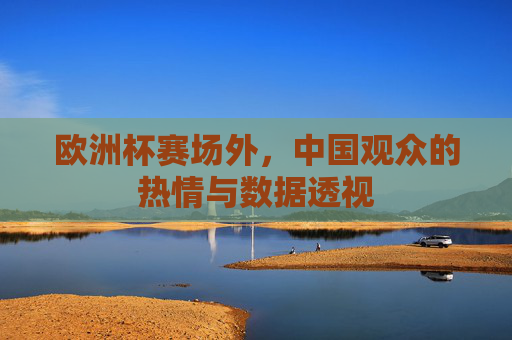 欧洲杯赛场外,中国观众的热情与数据透视