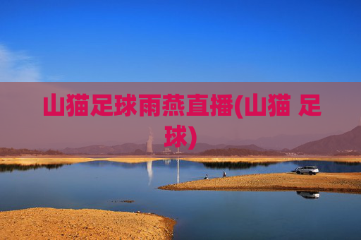 山猫足球雨燕直播(山猫 足球)
