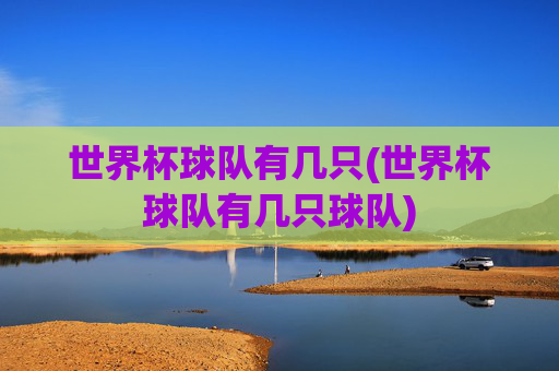 世界杯球队有几只(世界杯球队有几只球队)
