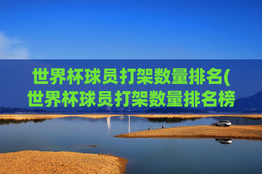 世界杯球员打架数量排名(世界杯球员打架数量排名榜)