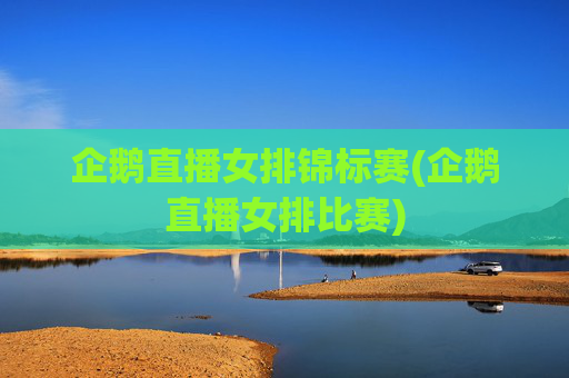 企鹅直播女排锦标赛(企鹅直播女排比赛)