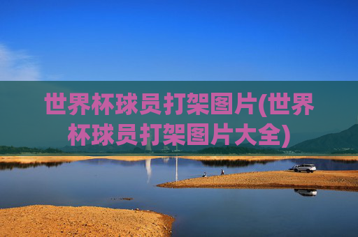 世界杯球员打架图片(世界杯球员打架图片大全)