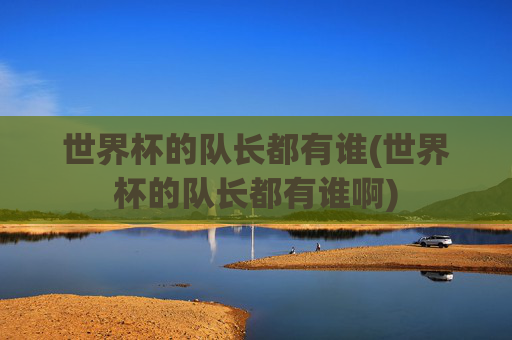 世界杯的队长都有谁(世界杯的队长都有谁啊)