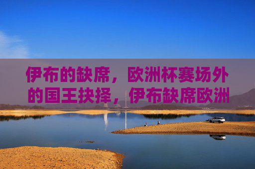 伊布的缺席,欧洲杯赛场外的国王抉择,伊布缺席欧洲杯,赛场外的国王抉择