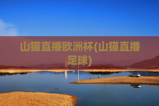 山猫直播欧洲杯(山猫直播足球)