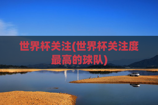 世界杯关注(世界杯关注度最高的球队)