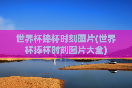 世界杯捧杯时刻图片(世界杯捧杯时刻图片大全)