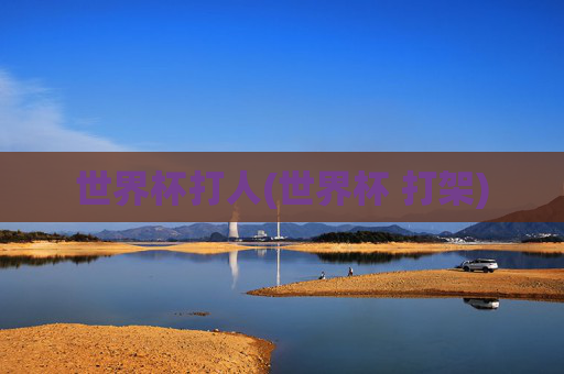 世界杯打人(世界杯 打架)