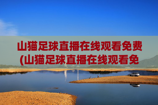 山猫足球直播在线观看免费(山猫足球直播在线观看免费视频)