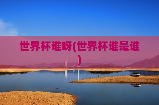 世界杯谁呀(世界杯谁是谁)