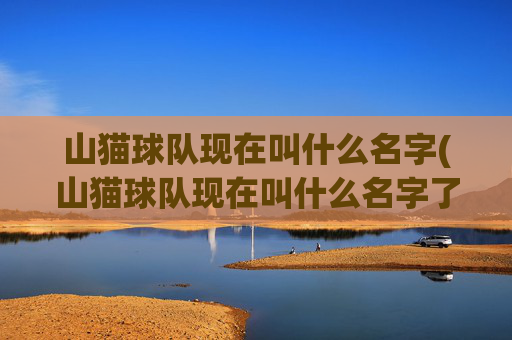 山猫球队现在叫什么名字(山猫球队现在叫什么名字了)