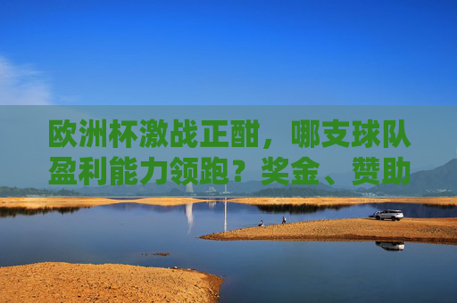 欧洲杯激战正酣,哪支球队盈利能力领跑?奖金、赞助、商业价值全解析,欧洲杯激战正酣,盈利能力领跑球队全解析——奖金、赞助、商业价值