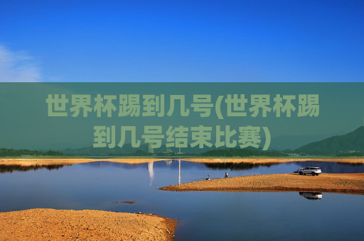 世界杯踢到几号(世界杯踢到几号结束比赛)