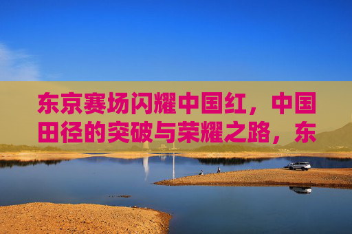 东京赛场闪耀中国红,中国田径的突破与荣耀之路,东京赛场中国红闪耀,中国田径突破与荣耀之路