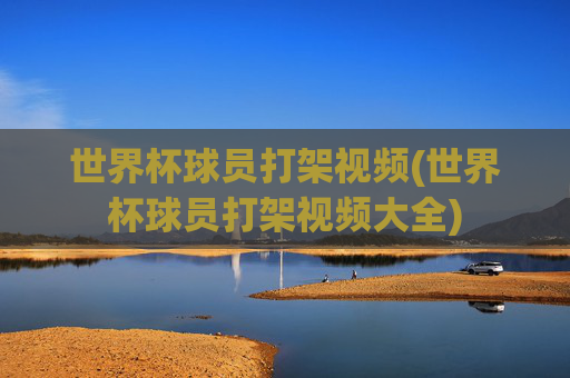 世界杯球员打架视频(世界杯球员打架视频大全)