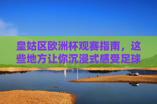 皇姑区欧洲杯观赛指南,这些地方让你沉浸式感受足球激情,皇姑区欧洲杯观赛指南,沉浸式感受足球激情