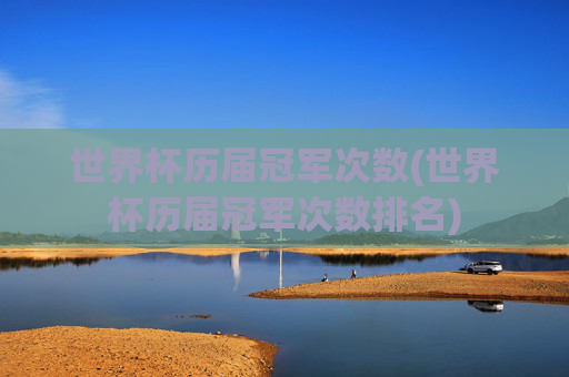 世界杯历届冠军次数(世界杯历届冠军次数排名)