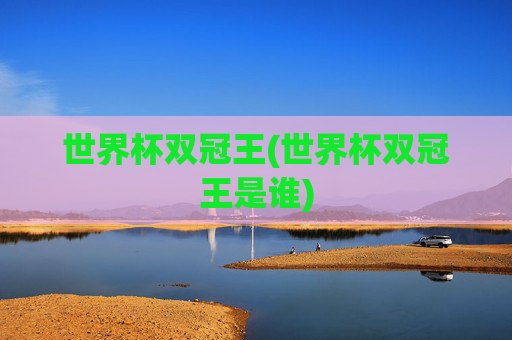 世界杯双冠王(世界杯双冠王是谁)