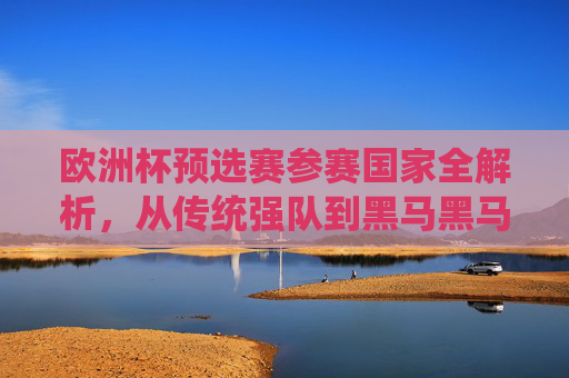欧洲杯预选赛参赛国家全解析，从传统强队到黑马黑马，欧洲杯预选赛参赛国家全解析，从传统强队到黑马