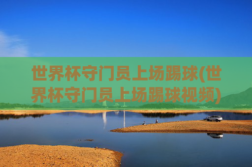 世界杯守门员上场踢球(世界杯守门员上场踢球视频)