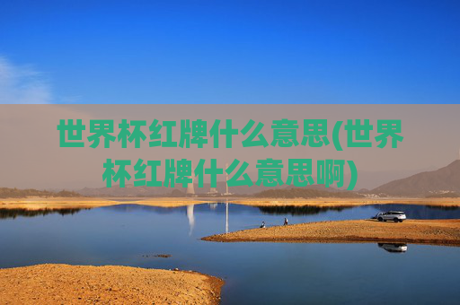 世界杯红牌什么意思(世界杯红牌什么意思啊)