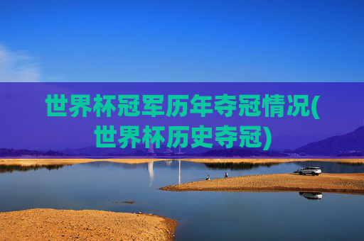 世界杯冠军历年夺冠情况(世界杯历史夺冠)