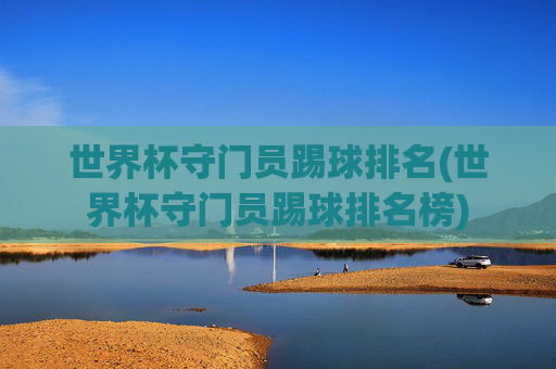 世界杯守门员踢球排名(世界杯守门员踢球排名榜)