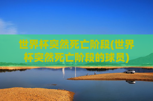 世界杯突然死亡阶段(世界杯突然死亡阶段的球员)