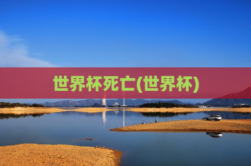 世界杯死亡(世界杯)