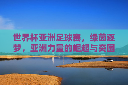 世界杯亚洲足球赛,绿茵逐梦,亚洲力量的崛起与突围,世界杯亚洲赛场,亚洲力量的崛起与突围