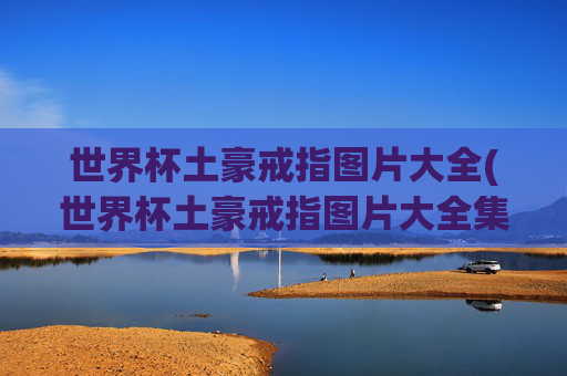 世界杯土豪戒指图片大全(世界杯土豪戒指图片大全集)