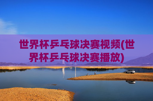 世界杯乒乓球决赛视频(世界杯乒乓球决赛播放)
