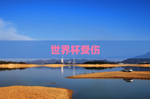 世界杯受伤