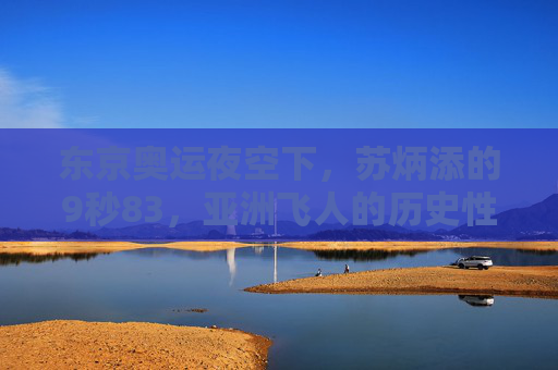 东京奥运夜空下，苏炳添的9秒83，亚洲飞人的历史性突破，东京奥运夜空下，苏炳添9秒83，亚洲飞人历史性突破