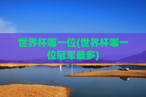 世界杯哪一位(世界杯哪一位冠军最多)