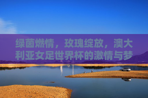 绿茵燃情，玫瑰绽放，澳大利亚女足世界杯的激情与梦想，玫瑰绽放绿茵，燃梦澳洲女足世界杯