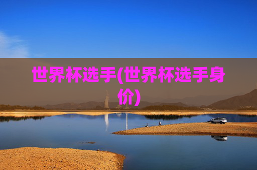 世界杯选手(世界杯选手身价)