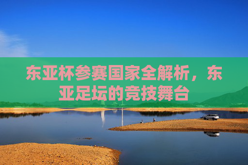 东亚杯参赛国家全解析,东亚足坛的竞技舞台
