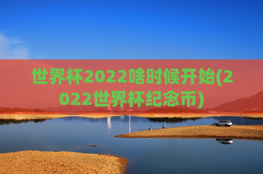 世界杯2022啥时候开始(2022世界杯纪念币)