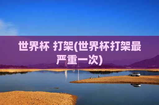 世界杯 打架(世界杯打架最严重一次)