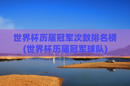 世界杯历届冠军次数排名榜(世界杯历届冠军球队)