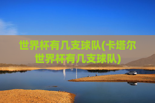世界杯有几支球队(卡塔尔世界杯有几支球队)