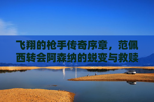 飞翔的枪手传奇序章,范佩西转会阿森纳的蜕变与救赎,飞翔的枪手序章,范佩西转阿森纳的蜕变与救赎