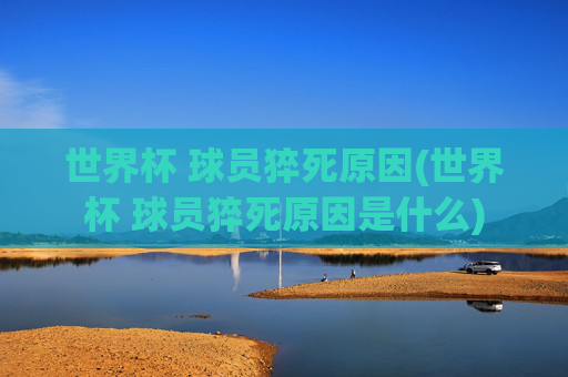 世界杯 球员猝死原因(世界杯 球员猝死原因是什么)