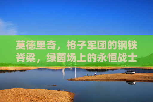 莫德里奇，格子军团的钢铁脊梁，绿茵场上的永恒战士，莫德里奇，钢铁脊梁，永恒战士