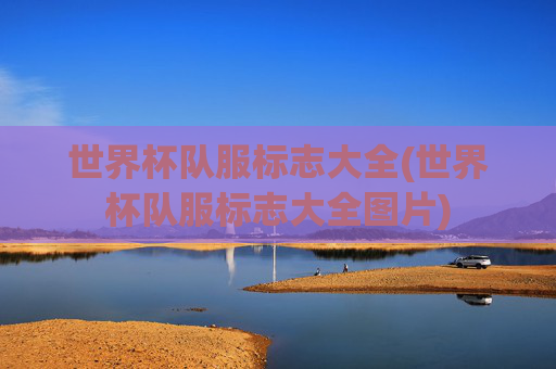世界杯队服标志大全(世界杯队服标志大全图片)