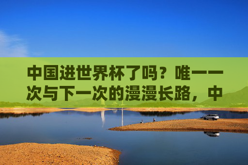 中国进世界杯了吗?唯一一次与下一次的漫漫长路,中国世界杯,唯一一次与下一次的漫漫长路