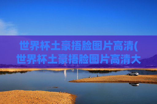 世界杯土豪捂脸图片高清(世界杯土豪捂脸图片高清大图)