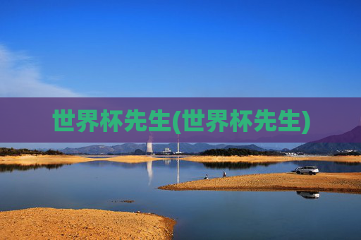 世界杯先生(世界杯先生)